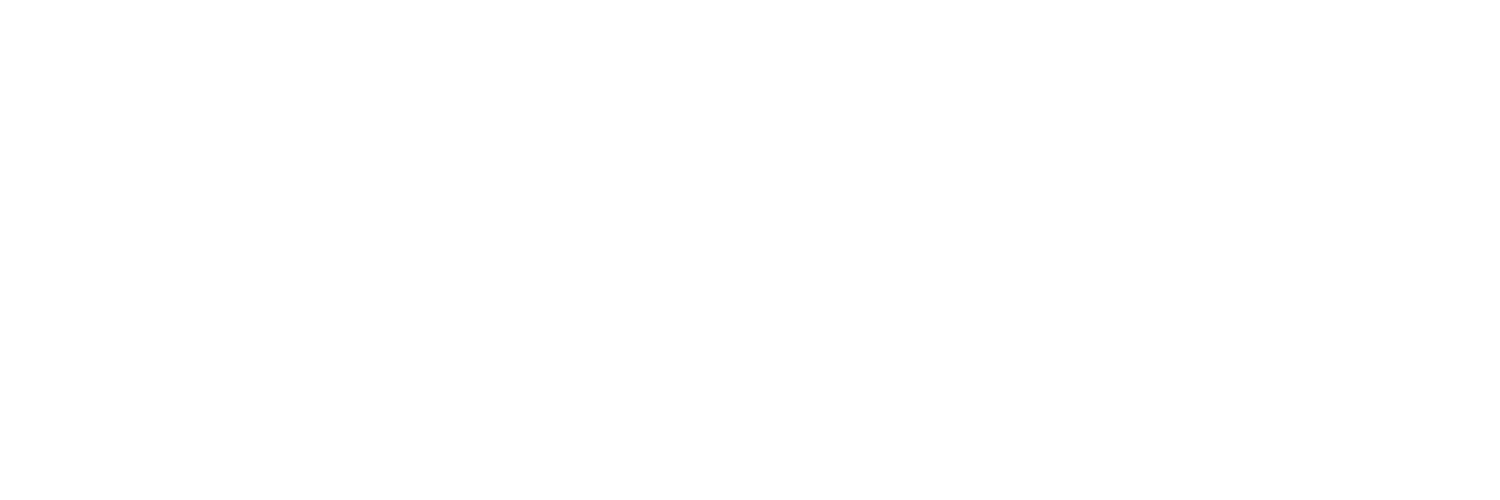 Webdesign Schwinghammer