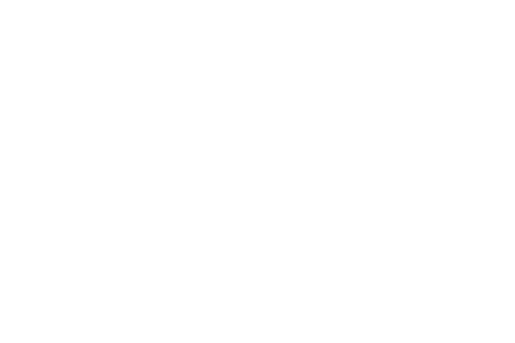 Logo Schwinghammer Webdesign
