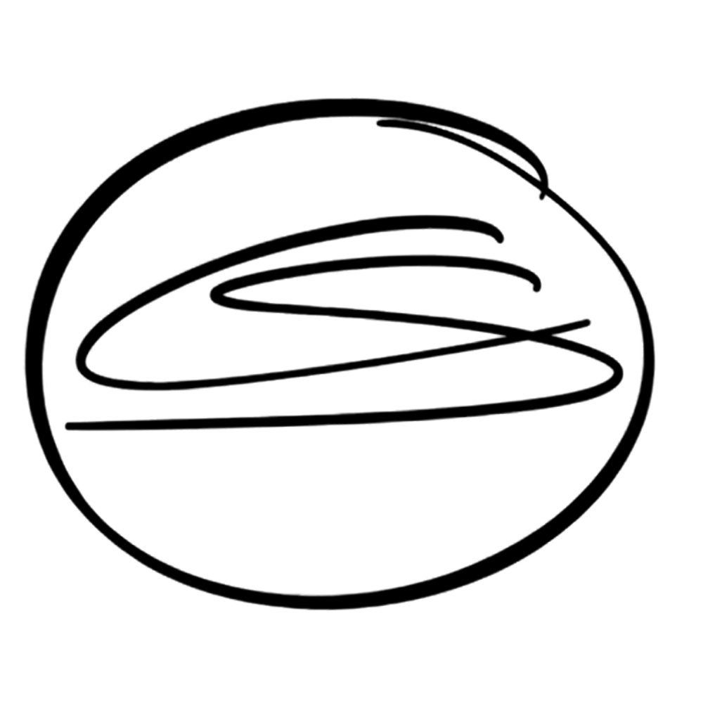 Website Favicon - Webdesign Schwinghammer in Kempten im Allgäu
